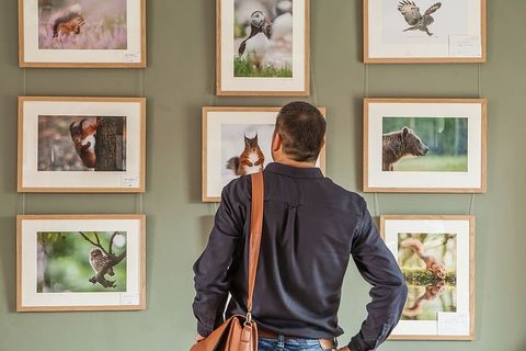 画廊，艺术，展览，参观者，彩色，设计，墙壁，人