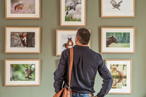 画廊，艺术，展览，参观者，彩色，设计，墙壁，人