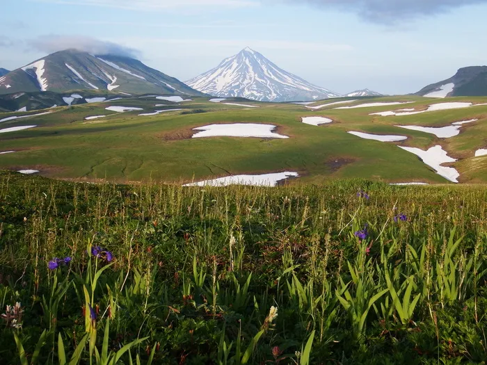 堪察加半岛，高山高原，苔原，火山，雪，夏天，八月，山脉