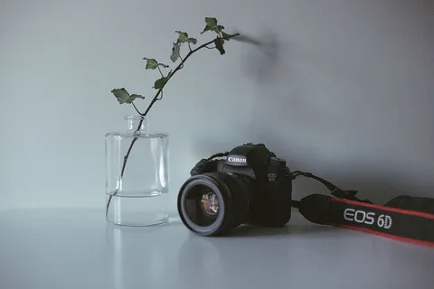 黑色佳能EOS 6D相机，位于透明玻璃瓶旁边，带有植物