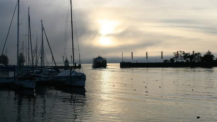 湖，晨曦，水，波浪倒影，日出，渡口，菩提树，黎明家族