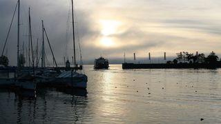 湖，晨曦，水，波浪倒影，日出，渡口，菩提树，黎明家族