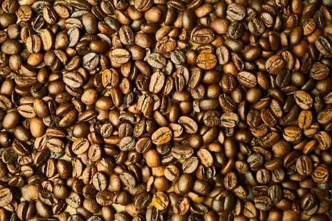 核心、种子、咖啡、健康食品、健康、新鲜、食品、健康饮食 核心、种子、咖啡、健康食品、健康、新鲜、食品、健康饮食