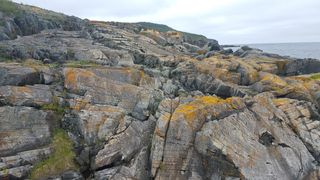 岩石、纽芬兰、水、大西洋、海岸、地质、岩石、加拿大