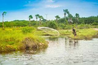 里约，渔民，自然，巴西，风景，宁静，捕鱼，水