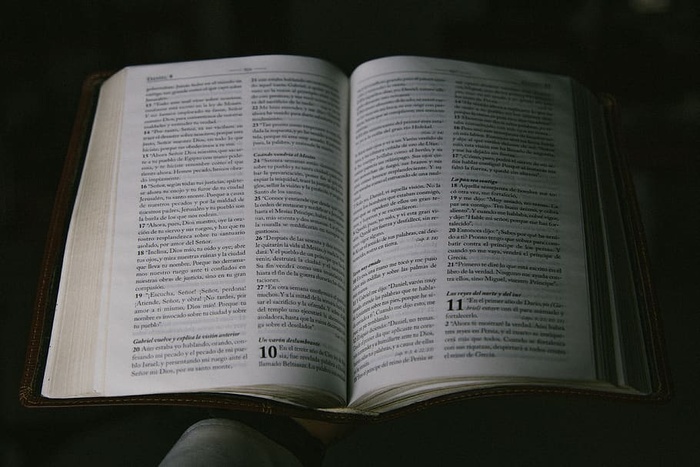 书页，书，神，去，启示录，圣经，书，基督徒