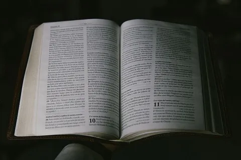 书页，书，神，去，启示录，圣经，书，基督徒