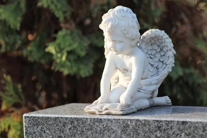 天使, 翅膀, 精神, 阅读, 书, 图, 雕塑, 公墓