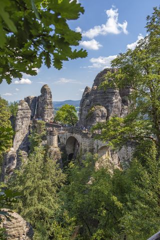 萨克森-瑞士、萨克森-安哈尔特、易北河砂岩山脉、桥梁、树木、历史、树木、建筑