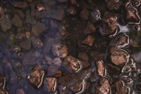 巴西，库里蒂巴，花园4，水，杰格，全画幅，背景，没有人