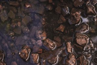 巴西，库里蒂巴，花园4，水，杰格，全画幅，背景，没有人