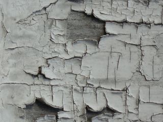 白色表面、背景、壁纸、干燥、油漆、颜色、碎片、碎片