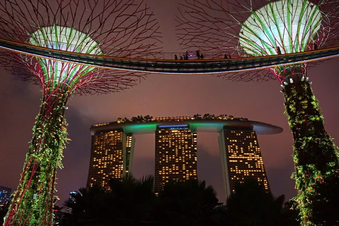 码头湾，大树，海湾花园，新加坡，夜晚，灯光，建筑，建筑