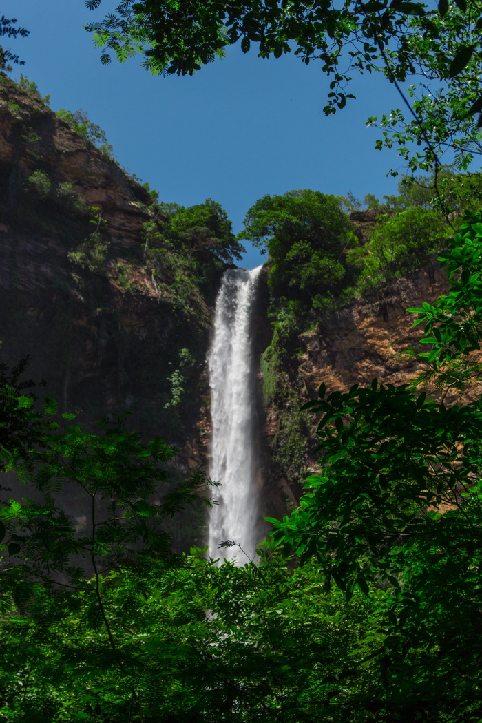 在巴西，salto do itiquira-福尔摩沙，自然，森林，树木，野生，瀑布