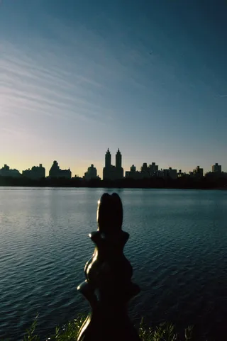 水、自然、户外、美国、纽约、埃尔多拉多、栏杆、扶手