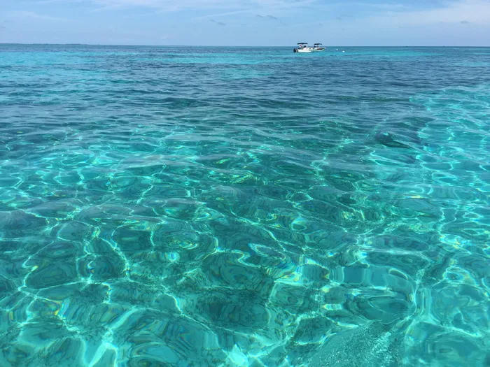 白色、动力船、海洋、佛罗里达群岛、looe key、浮潜、海洋、水