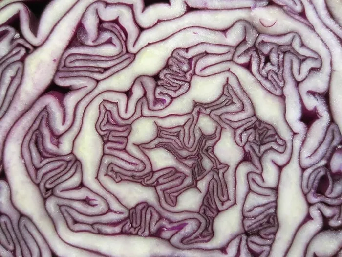 图案，红色卷心菜，蔬菜，卷心菜，食物，红色，沙拉，素食者