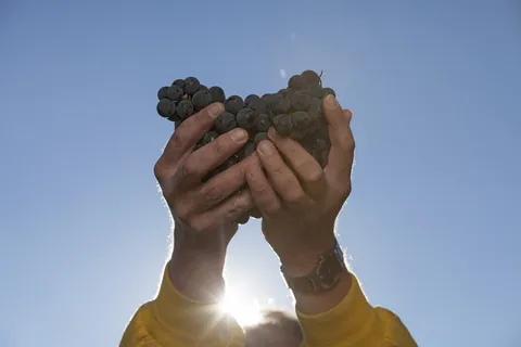 祝福, 感恩, 礼物, 感恩, 分享, 财富, 支持, 相信