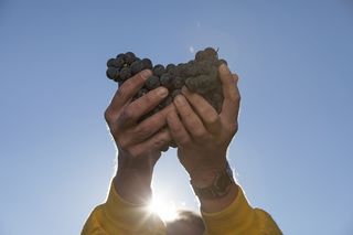 祝福, 感恩, 礼物, 感恩, 分享, 财富, 支持, 相信