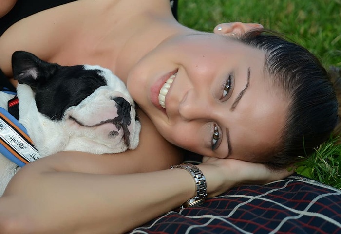 波士顿梗，睡觉，女人，肩膀，白天，法国斗牛犬，狗，狗狗