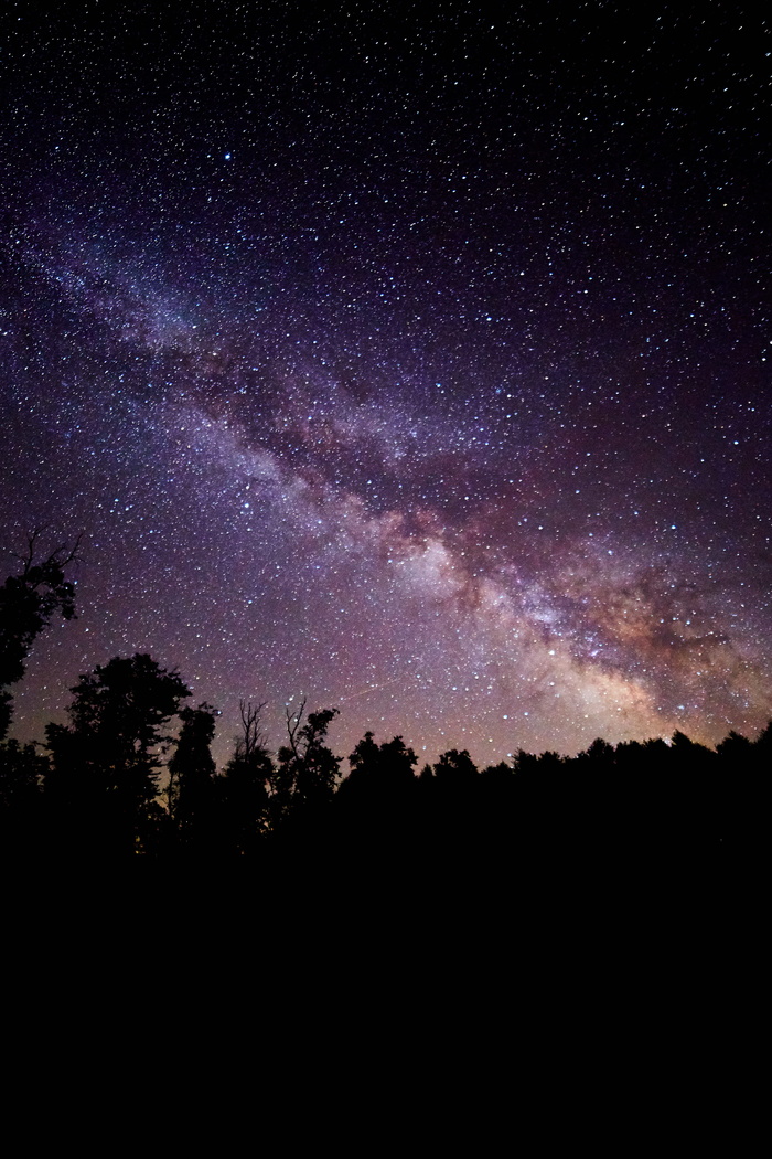 天文学，恒星，夜晚，宇宙，天文学，太空，星座，宇宙