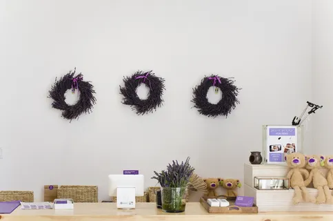 熊,毛绒绒,玩具,花瓶,三只,紫色,毛皮,花环 熊,毛绒绒,玩具,花瓶,三只,紫色,毛皮,花环