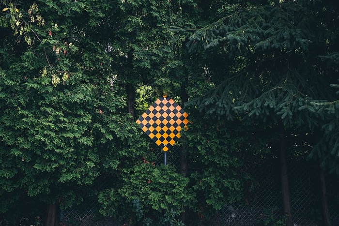 森林中树木环绕的死胡同招牌