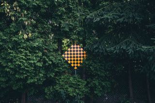 森林中树木环绕的死胡同招牌