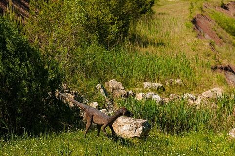 褐色岩石，恐龙，gad，哺乳动物，恐龙，灭绝，模型，龙