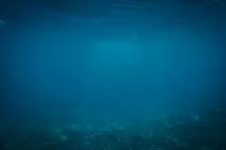 蓝色的海洋，蓝色的海洋，水下，海洋，自然，背景，没有人