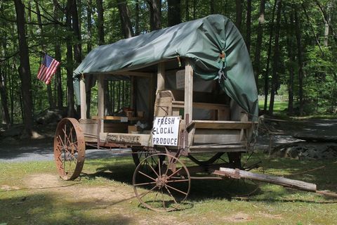 宾夕法尼亚州，农村，林分，农产品，有机，农场，农村，农业