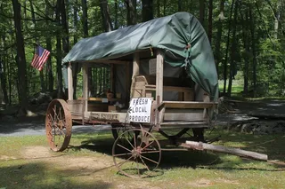 宾夕法尼亚州，农村，林分，农产品，有机，农场，农村，农业