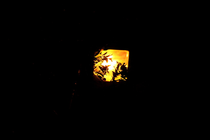 美国，伊萨卡，伊萨卡汤普金斯地区机场，夜间，黄色，剪影，黑色，深色