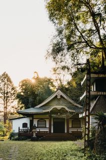 树木环绕的白宫