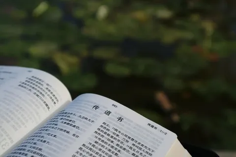 基督教、书籍、圣经、报纸、出版物、教育、特写、开放