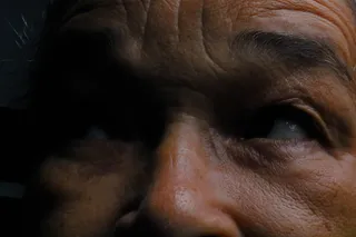 脸，皮肤，狗，狗，哺乳动物，宠物，动物，皱眉