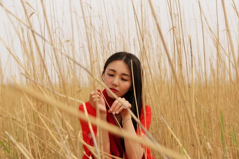女人,红色,衬衫,坐着,中间,枯萎,草地,女孩 女人,红色,衬衫,坐着,中间,枯萎,草地,女孩