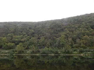 特拉华水沟，美国，树木，湖泊，河流，植物，树木，自然之美