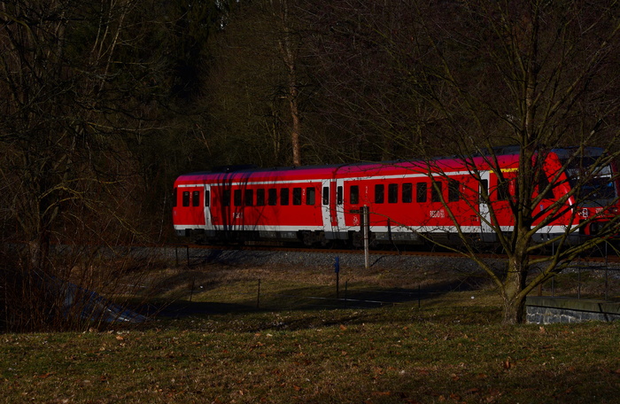 当地地面、火车、轨道交通、当地火车、傍晚、树木、植物、红色