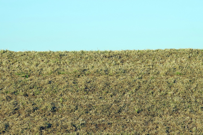 斯科索区、草地、斯托克、背景、天空、大地、棕色、水平