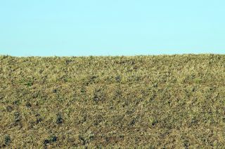 斯科索区、草地、斯托克、背景、天空、大地、棕色、水平