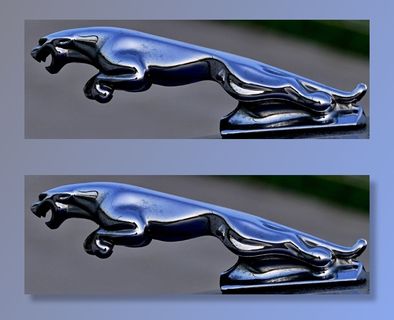 捷豹、徽章、汽车、野兽、个人、特写、无人、摄影棚拍摄