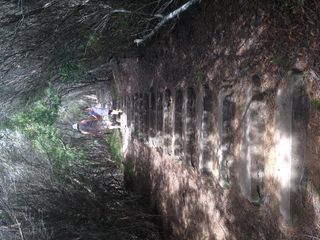 路径、人、人、小径、户外、凉亭、花园、瓦彭戈
