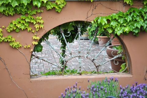 花园、绿化、天井、植物、生长、白天、无人、自然