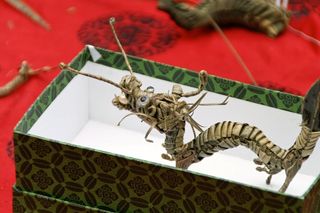 龙，修补匠，礼物，动物，昆虫，高视角，无人，红色