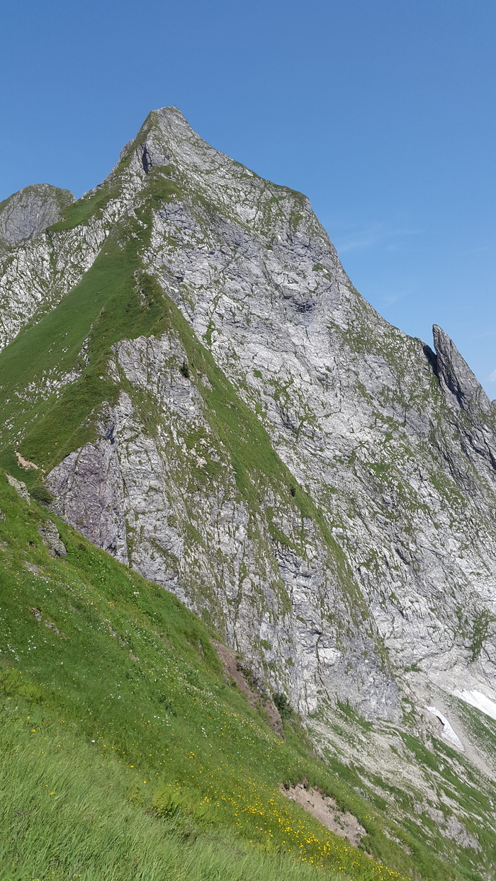 Höfats，Allgäu，Grasberg，Stiple，Grass，Stiple Grass，Allgäu alps，alpine