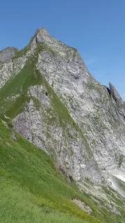 Höfats,Allgäu,Grasberg,Stiple,Grass,Stiple Grass,Allgäu alps,alpine Höfats,Allgäu,Grasberg,Stiple,Grass,Stiple Grass,Allgäu alps,alpine
