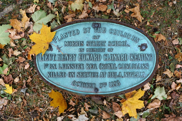 哈利法克斯，公园，自然，加拿大，秋天，盾，叶，枫树