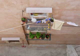 克罗地亚，杜布罗夫尼克，老，城市，柠檬，洗衣，阳台，植物