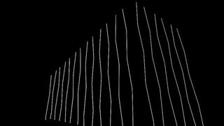 无标题，霓虹灯，灯光，黑暗，夜晚，黑白，单色，黑色